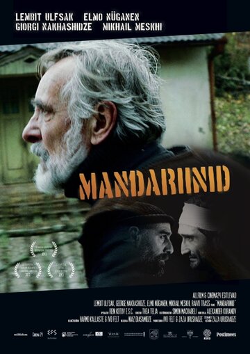 Смотреть фильм Мандарины 2013 года онлайн