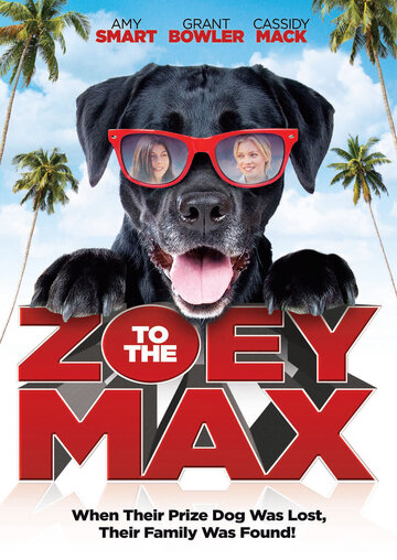Смотреть фильм Зои и Макс 2015 года онлайн