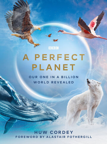 Смотреть сериал Идеальная планета 2021 года онлайн
