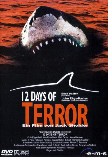 Смотреть фильм 12 дней страха 2004 года онлайн