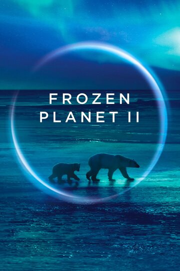 Смотреть сериал BBC. Замёрзшая планета 2 2022 года онлайн