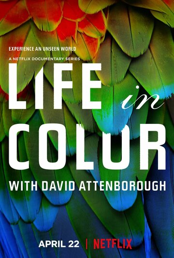 Смотреть сериал Жизнь в цвете с Дэвидом Аттенборо 2021 года онлайн